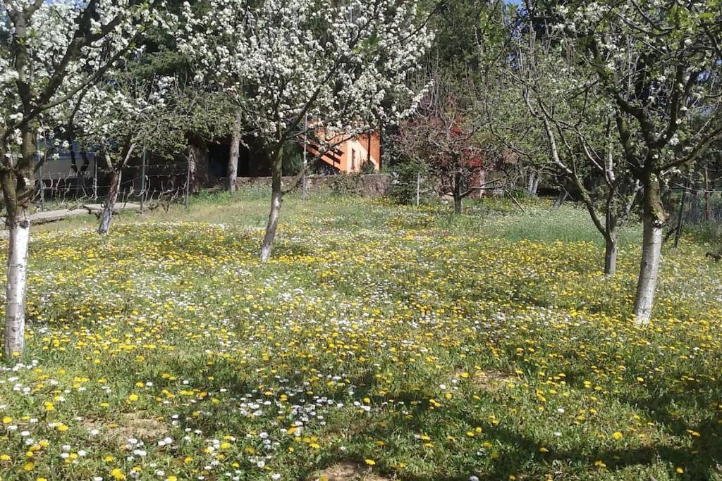 Happy House Villa Velika Remeta Luaran gambar